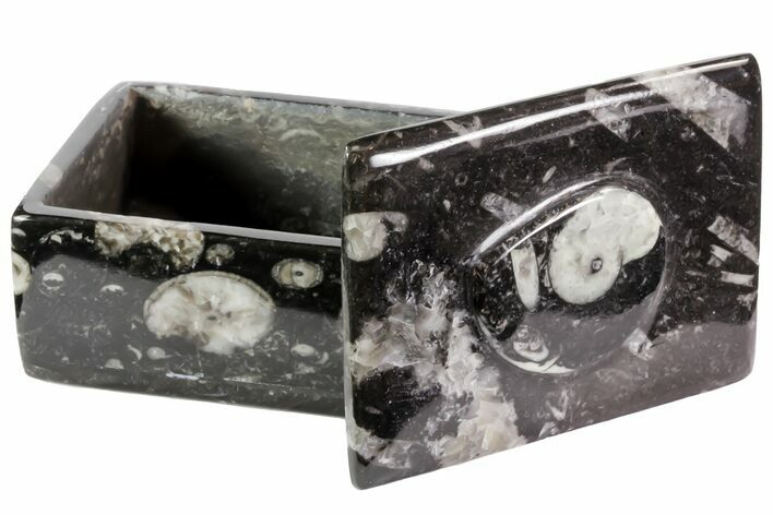 Fossil Orthoceras/Goniatite Box (Rectangle) - Stoneware #70728